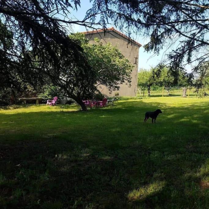 Gite La Roche Paisible Saint-Julien-de-Coppel Εξωτερικό φωτογραφία